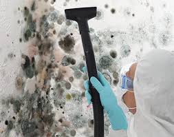 Best Mold Prevention Services  in Shrub Oak, NY